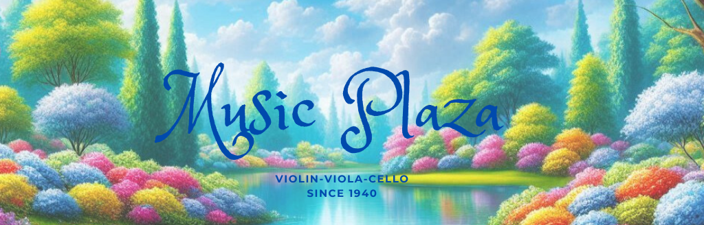 Music Plaza (8)
